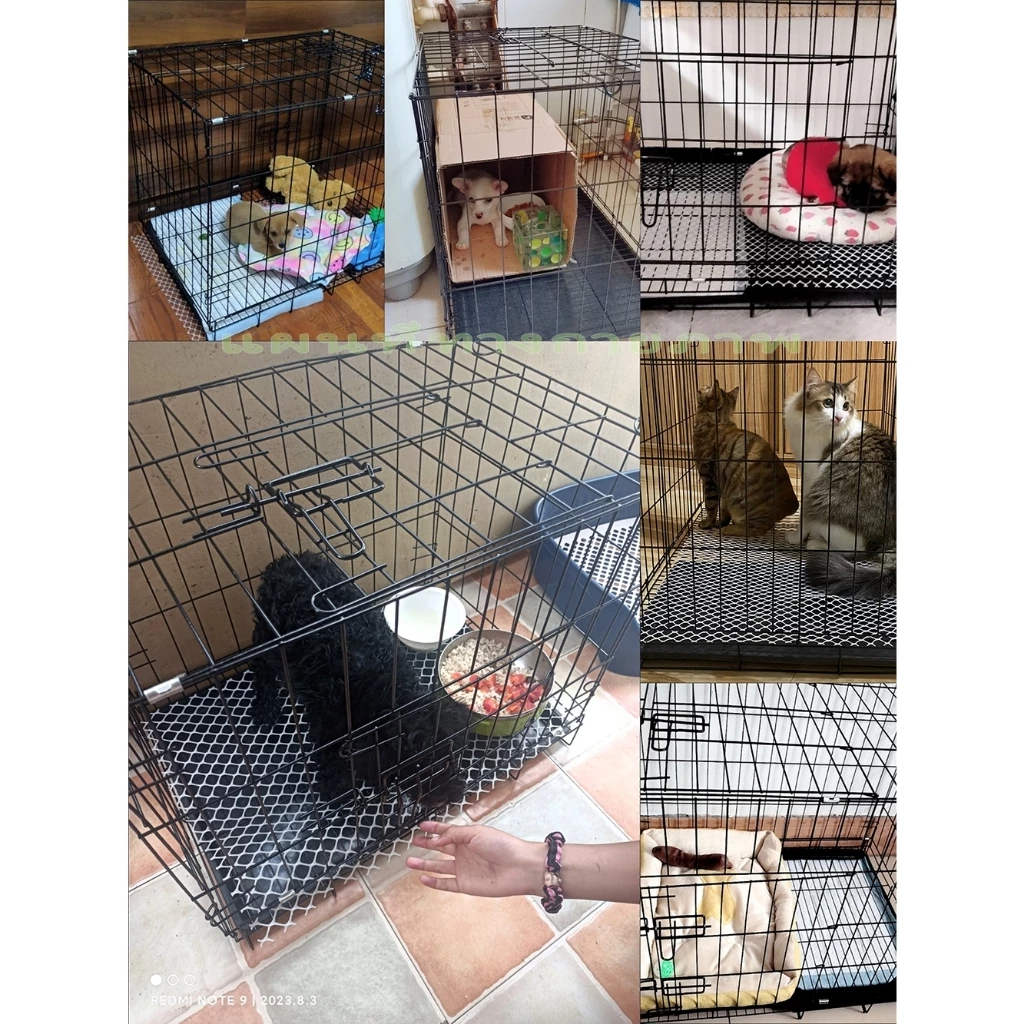 รูปภาพ 8