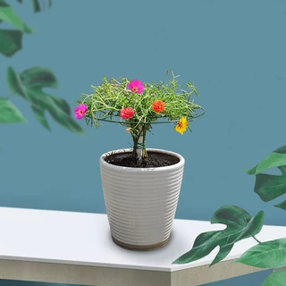 [Gong] 1 PC พลาสติกสวน Stackable Climbing Frame Plant Cage Frame Plant Support Stand Climbing Rack อุปกรณ์ทําสวน TH