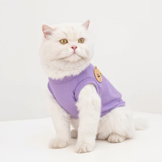 【Yuanzhss】เสื้อกั๊ก ลายหมีน่ารัก ใส่สบาย สําหรับสัตว์เลี้ยง สุนัข แมว