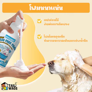 🛁แชมพูสุนัข แชมพูแมว โฟมอาบน้ำแห้งสัตว์เลี้ยง🐈 500ml/200ml สูตรอ่อนโยน สะอาด ดับกลิ่น ไม่ต้องล้างน้ำ