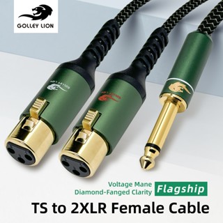 GOLLEY LION TS to Dual XLR Female Cable | ทองแดงฝังเงิน | โป…