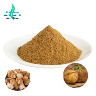 คุณภาพสูง Bulk Lions Mane Mushroom Extract Lions Mane Powder Hericium Erinaceus Extract