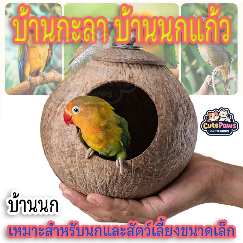 ถูกสุด🔥บ้านกะลา บ้านนกแก้ว บ้านชูการ์ บ้านกระรอก บ้านนก เหมาะสำหรับนกและสัตว์เลี้ยงขนาดเล็ก