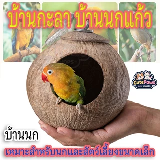 ถูกสุด🔥บ้านกะลา บ้านนกแก้ว บ้านชูการ์ กระรอก นก เหมาะสำหรับนกและสัตว์เลี้ยงขนาดเล็ก