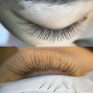 ใหม่ขนตาปลอมรูปตัว U ดอกไม้ขนาน Double Layer Dense Curl CD Natural Soft U Eyelash
