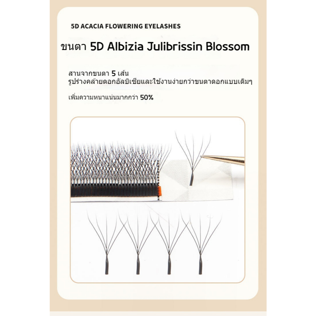 [12 แถว] 5D Five-Leaf Clover Grafted Eyelashes Super Soft Hair ไม่แห้ง 0.05/J/B/C/D ขนาดเดียว/ขนาดผสม Beauty Eyelash Shop เฉพาะ ราคา ถูกที่สุด ดีลบีเคเค แกลเลอรีภาพที่ 2