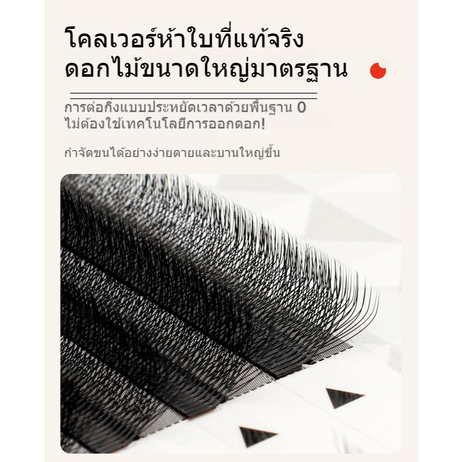 [12 แถว] 5D Five-Leaf Clover Grafted Eyelashes Super Soft Hair ไม่แห้ง 0.05/J/B/C/D ขนาดเดียว/ขนาดผสม Beauty Eyelash Shop เฉพาะ ราคา ถูกที่สุด ดีลบีเคเค แกลเลอรีภาพที่ 4