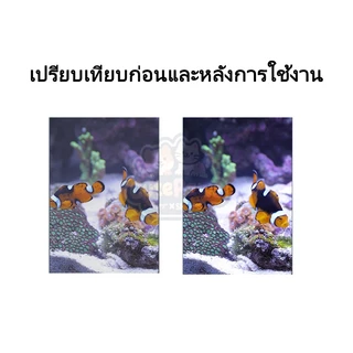 วัสดุกรองตู้ปลา 12 ใน 1 หินดูดกลิ่นตู้ปลา​ หินกรองตู้ปลา หินกรองรวม Ceramic Ring ช่วยรักษาน้ำให้ใส เหมาะสำหรับ สระ และปลา