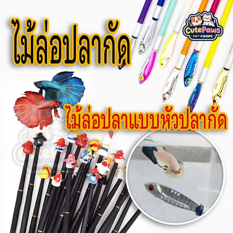 ถูกสุด🔥ไม้ล่อปลากัด ปลากัด ไม้ล่อปลาแบบหัวปลากัด หลอกล่อปลากัด จะทำให้ปลาว่ายน้ำพริ้วกว่า