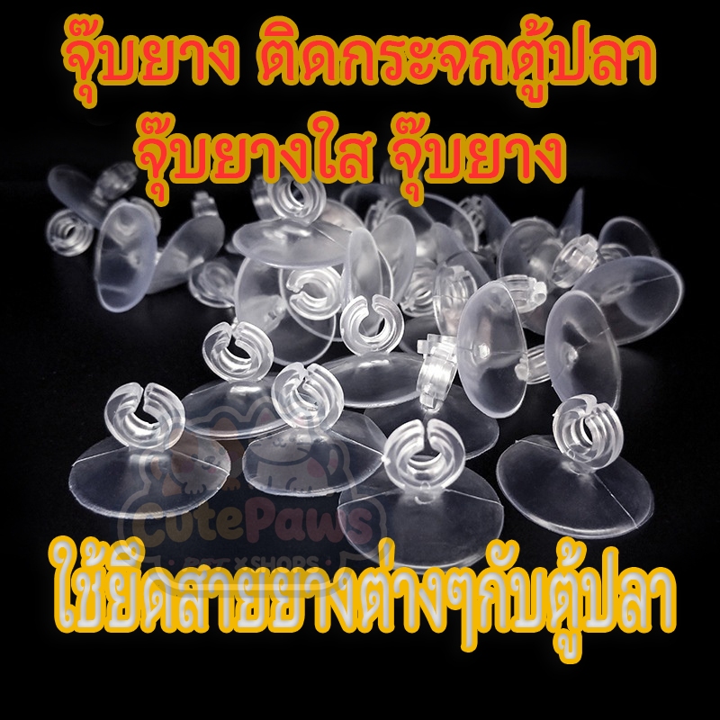 พร้อมส่ง🔥ชุด 10 ชิ้น จุ๊บยาง ติดกระจกตู้ปลา จุ๊บยางใส จุ๊บยาง ใช้ยึดสายยางต่างๆกับตู้ปลา