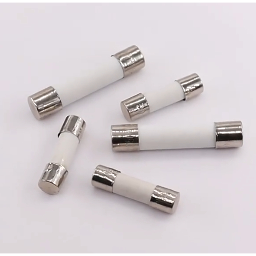 10PCS Original 5*20 มม.* 6*30 มม.Slow Blow ฟิวส์เซรามิค 250V 1A 1.25A 1.6A 2A 2.5A 3.15A 4A 5A 6.3A 
