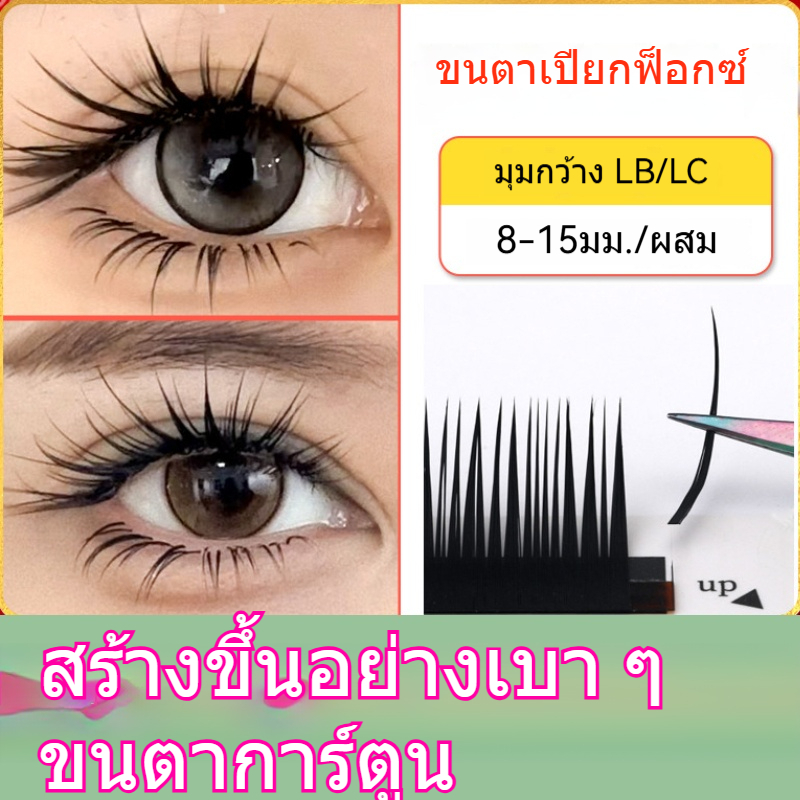 [12 แถว] Fox Series Comics Wet Eyelashes LBLC Camellia จีนไทยมุมกว้าง Sharp Extension Eyelashes Beauty Eyelash Shop เฉพาะ