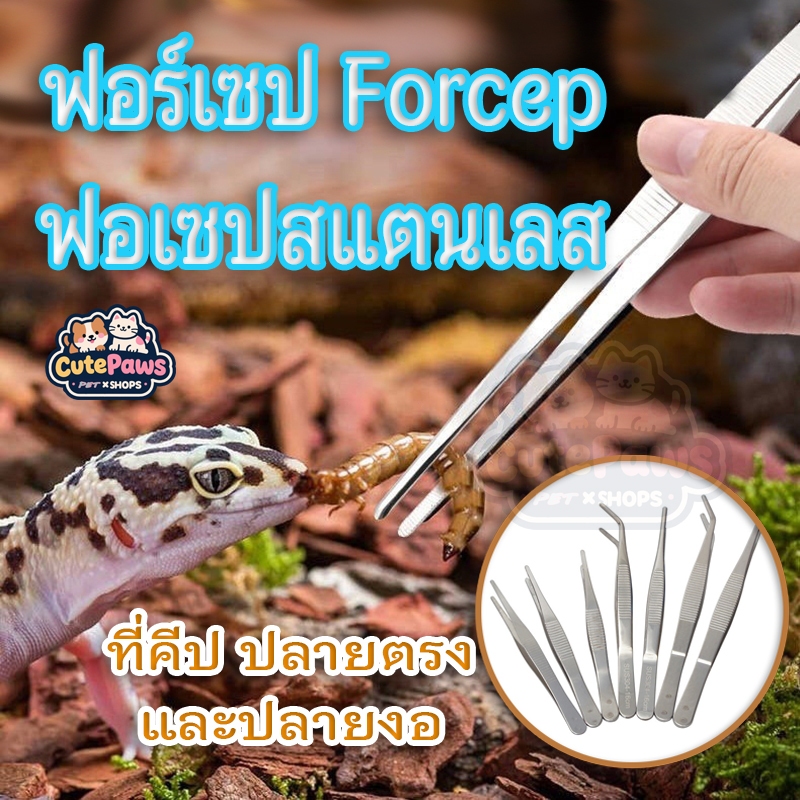 พร้อมส่ง🔥ฟอร์เซป Forcep ฟอเซปสแตนเลส ที่คีป ปลายตรง และปลายงอ คีมหนีบอเนกประสงค์