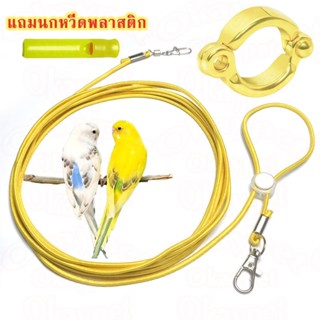 สายจูงนก เชือกจูงนก สายคล้องนก เชือกผูกนกหัดบิน พร้อมห่วงขาน…