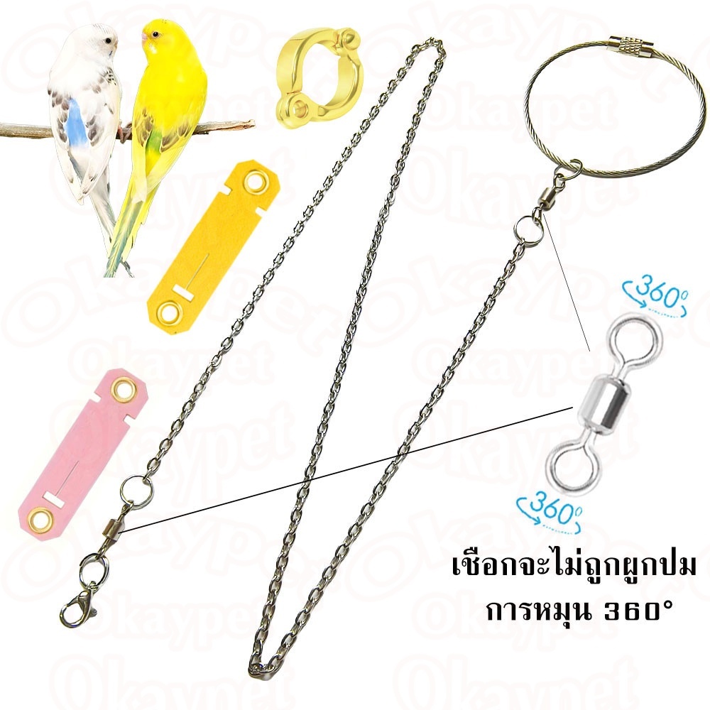 ปลอกขานก กําไลข้อเท้านก ห่วงโซ่เท้านก โรสโกลด์ผสมสี โซ่ขานก โซ่คล้องขานก ห่วงนก โซ่นก