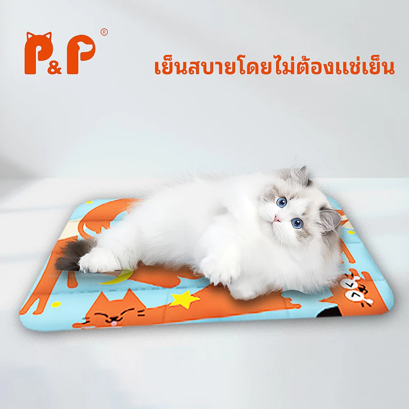 แผ่นทำความเย็นสำหรับสัตว์เลี้ยง P&P