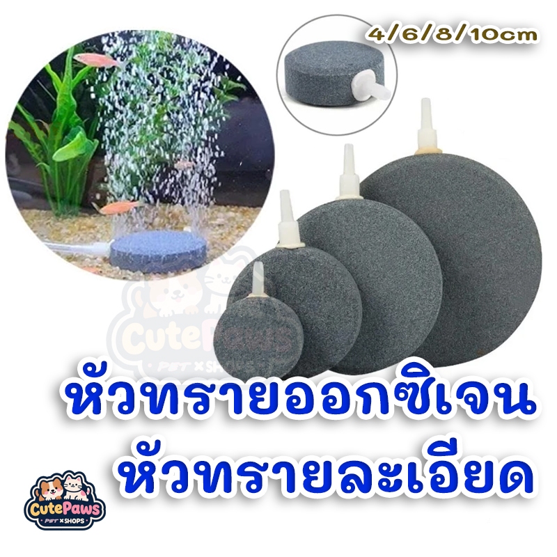 พร้อมส่ง🔥หัวทรายออกซิเจน หัวทรายละเอียด หัวทรายจาน Air stone หัวทรายตู้ปลา ขนาด 4/6/8/10ซม