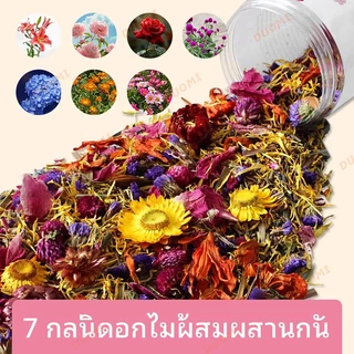 [ในสต็อก + จัดส่งจากประเทศไทย]เบดดิ้งดอกไม้สำหรับหนูแฮมสเตอร์ ธรรมชาติ ปลอดสารพิษ กลิ่นหอมอ่อนๆ ช่วยดูดซับความชื้น สร้างบรรยากาศสดชื่นในกรง
