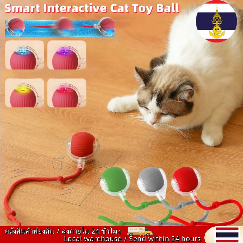 ท้องถิ่น  2 ชิ้นไฟฟ้า Interactive ของเล่นแมว Ball ชาร์จ Type-C Motion Activated Sensor สัตว์เลี้ยงลูกแมว Teasing เกมของเล่น