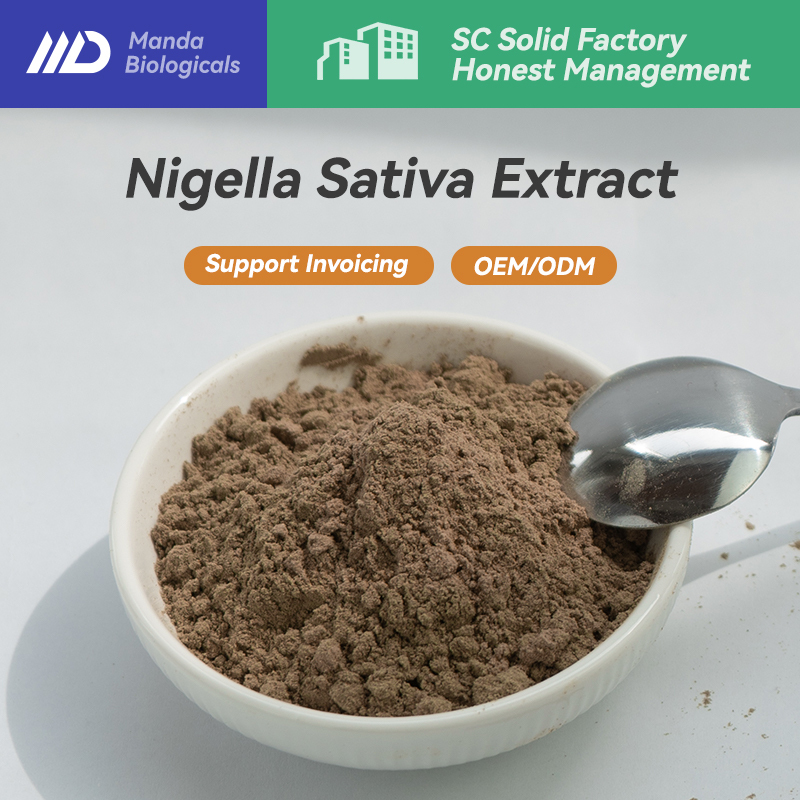 Bulk Natural Black Seed/Black Cumin/Nigella sativa Seed Extract Powder 10:1 สเปรย์ละลายน้ําแห้ง 500g