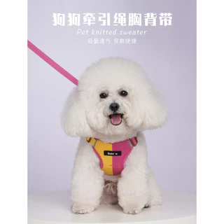 สายจูงสุนัขพร้อมสายรัดอก ฮาร์เนสสุนัขสะท้อนแสง ขนาดเล็ก adjustable ได้ สายจูงสุนัขสีสันสดใส สำหรับตัวเล็ก ใช้งานกลางแจ้ง ปลอดภัยและนุ่มสบาย