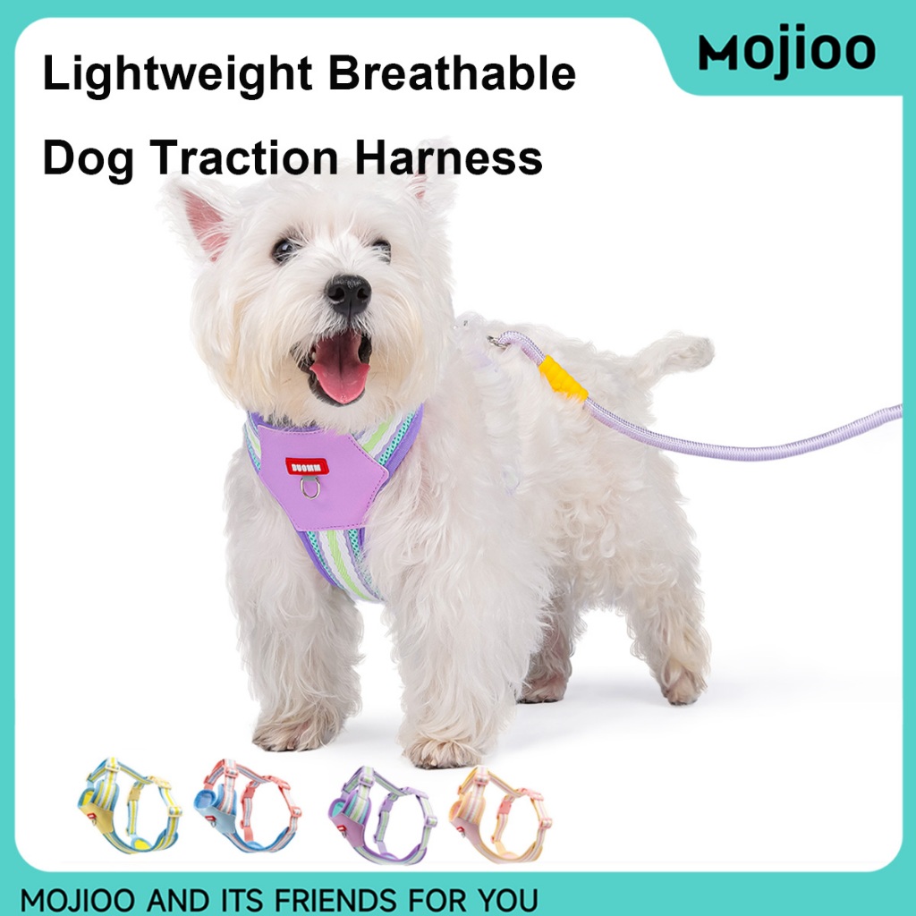 Mojioo สายรัดสัตว์เลี้ยงพร้อมสายจูงสะท้อนแสง น้ําหนักเบา เหมาะกับ Bichon, Pomeranian และแมวหรือสุนัขขนาดเล็กอื่นๆ