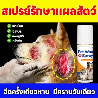 🐱สเปรย์สมานแผลสำหรับสัตว์เลี้ยง🐶Pst สเปรย์พ่นแผล สเปรย์นาโน แผลแห้งไว สมานแผลไว ฆ่าเชื้อแบคทีเรีย สำหรับสุนัข แมว และสัตว์เลี้ยงทุกชนิ