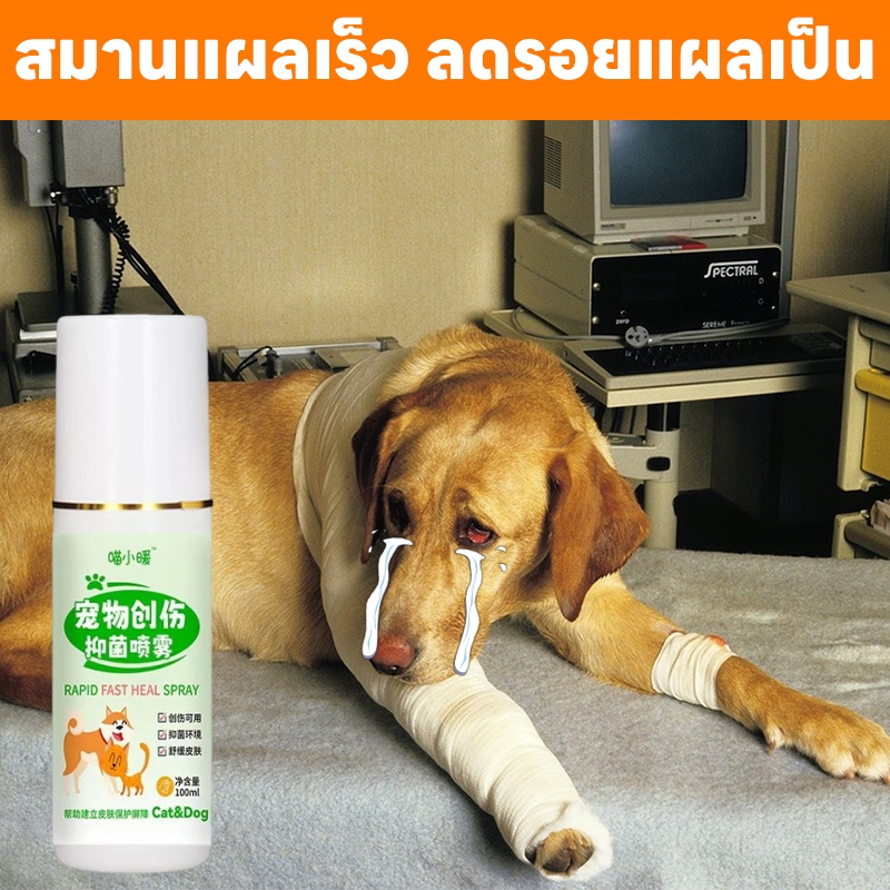 🐱ฉีดครั้งเดียวเห็นผล แผลไม่เจ็บอีกต่อไป🐶สเปรย์สมานแผลสำหรับสัตว์เลี้ยง สเปรย์พ่นแผล สัตว์เลี้ยง / สุนัข / แมว แผลแห้งเร็วมาก ยับยั้งแบคทีเรีย