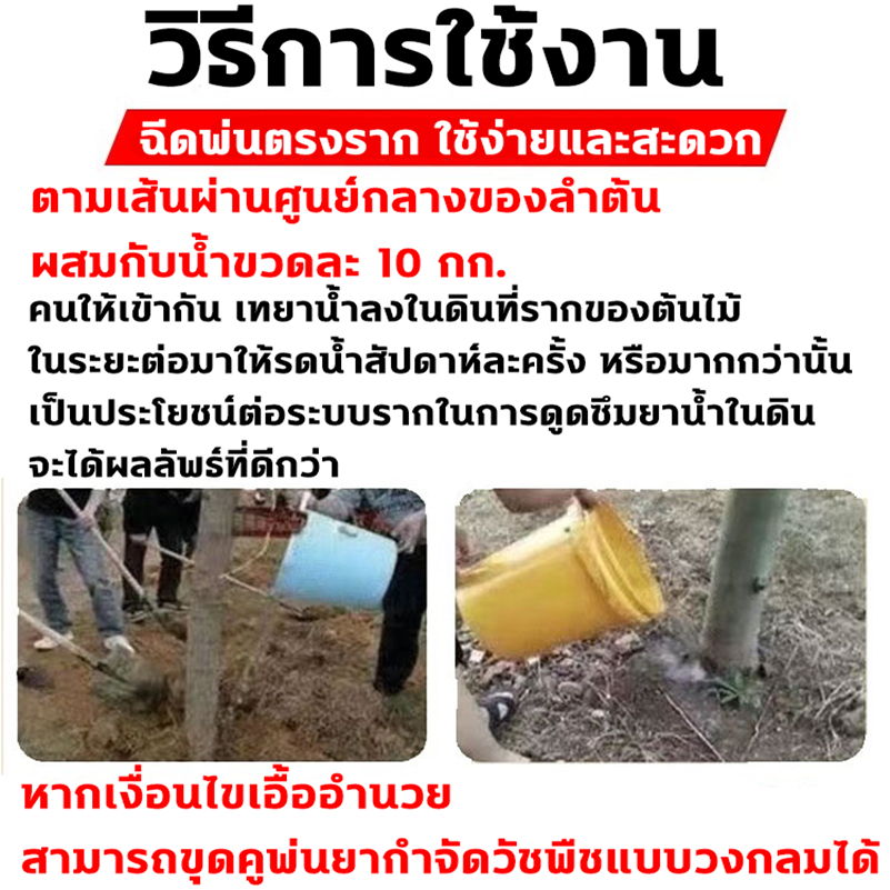 🌳🌳1หยดฆ่ากอไผ่ตายตายยันราก สารกําจัดกอไผ่ รากไม้เน่า500% ยาฆ่าตอไม้ ยาฆ่ากอไผ่ ยากําจัดต้นไม้ใหญ่ ยาฆ่าต้นไม้ใหญ่200ml - รูปที่ 3