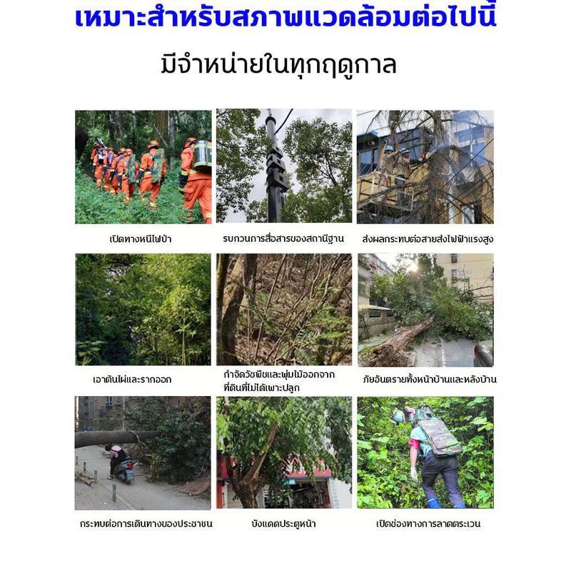 🌳🌳1หยดฆ่ากอไผ่ตายตายยันราก สารกําจัดกอไผ่ รากไม้เน่า500% ยาฆ่าตอไม้ ยาฆ่ากอไผ่ ยากําจัดต้นไม้ใหญ่ ยาฆ่าต้นไม้ใหญ่200ml - รูปที่ 5
