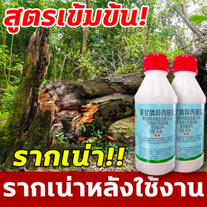 🌳🌳1หยดฆ่ากอไผ่ตายตายยันราก สารกําจัดกอไผ่ รากไม้เน่า500% ยาฆ่าตอไม้ ยาฆ่ากอไผ่ ยากําจัดต้นไม้ใหญ่ ยาฆ่าต้นไม้ใหญ่200ml - รูปที่ 7