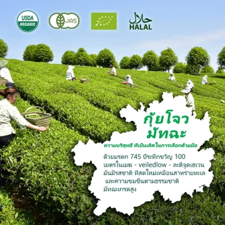 สัมผัส ผงมัทฉะ เกรดพิธีการชาเขียวพรีเมี่ยมสําหรับเครื่องดื่มลาเต้/อาหารเช้า/ชาเขียวประจําวัน, ชามัทฉะพิธีอินทรีย์ เราไม่หวานไม่มีสารเติมแต่ง, การเก็บเกี่ยวแรก,