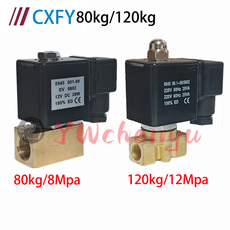 ความดัน Solenoid สูง CXFY วาล์วทองแดงทั้งหมด 055 8MPa 2WH012-08 CX16 CX80 CX120-02 03 04 ttb