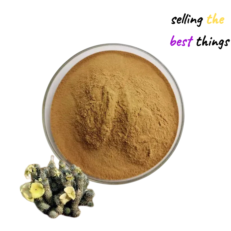 สารสกัดจากกระบองเพชร 10:1 ผงกระบองเพชรมาตรฐาน Ratio Extract Hoodia Cactus Extract 1กก./ถุง