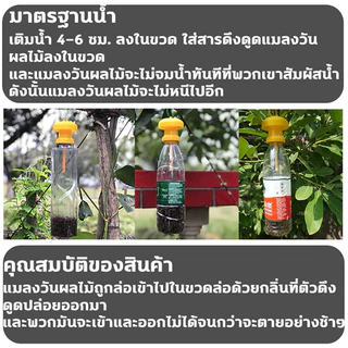 LEYINGMEI สารล่อแมลงวันทอง เมทิลยูจินอล 100% ชุดดักแมลงวันทอง ใช้กับขวดหลายประเภท ยาล่อแมลงวันทอง กําจัดทอง ผลไม้