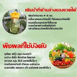 LEYINGMEI สารล่อแมลงวันทอง เมทิลยูจินอล 100% ชุดดักแมลงวันทอง ใช้กับขวดหลายประเภท ยาล่อแมลงวันทอง กําจัดทอง ผลไม้