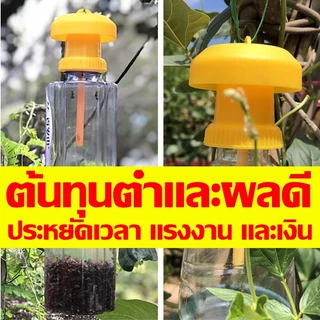 LEYINGMEI🐝สารล่อทอง เมทิลยูจินอล 100%ยั่ว ยาล่อทอง กับดักทอง ใช้ได้กับขวดหลายประเภท ชุดดักแมลงวันทอง พร้อมสารล่อเมทิลยูจินอล กำจัดแมลงวันทอง แมลงวันผลไม้