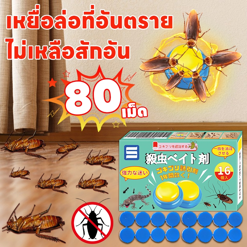 80 เม็ด คุ้มค่า Leno ฆ่า กำจัด ยาฆ่า 80 เม็ด แพ็คเดียว ป้องกันครบวงจร กำจัดแมลงสาบในบ้านหมด ฆ่าแมลงสาบ ยาแมลงสาบ