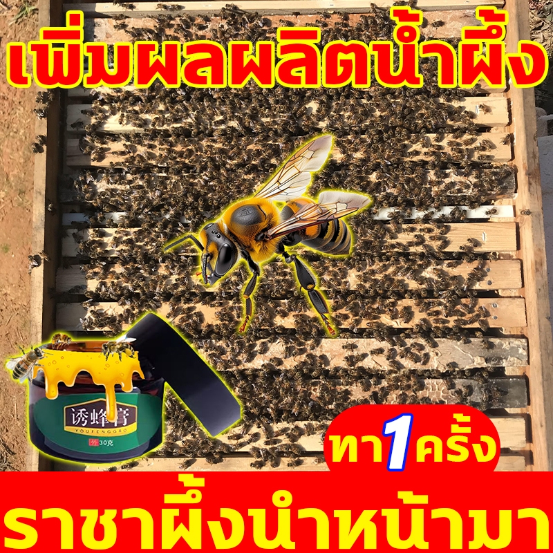 ฟีโรโมนล่อผึ้ง 1 ขวด ล่อได้ 100 กล่อง สูตรเข้มข้น รสโปรดของผึ้งโพรง
