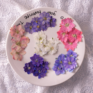 40 ชิ้นกลืนดอกไม้แห้งนูน DIY บุ๊คมาร์ค