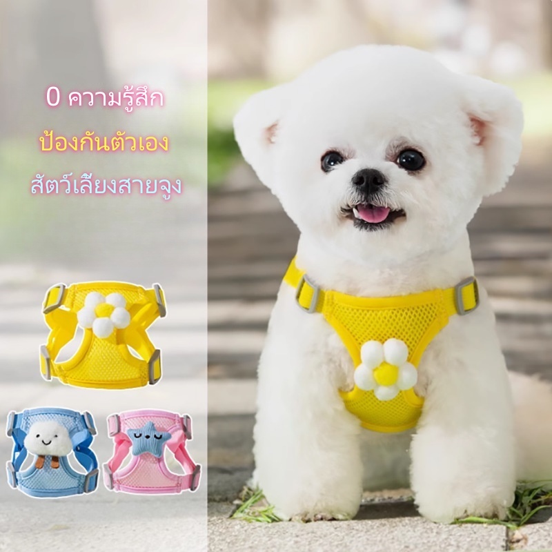 ฤดูร้อนตาข่ายระบายอากาศขนาดเล็กสัตว์เลี้ยงหน้าอกกลับสายจูงชุดลูกสุนัขสุนัขแมว แม้ว สายจูงกลางแจ้ง