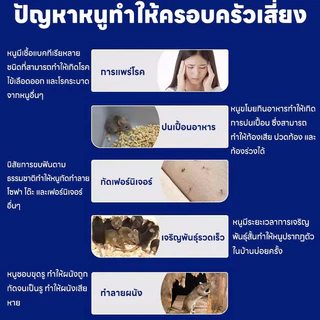 🐁แค่วาง หนูก็หายไป🐭เจลไล่หนู ที่ไล่หนู อาทไล่ ยาไล่ ตลอด 24 ชั่วโมง ผลิตจากธรรมชาติ ปลอดภัย