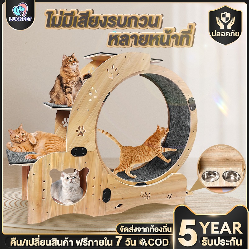 ลู่วิ่งแมว 5in1 ออกกำลังกาย ขนาดใหญ่ ที่ออกกำลังกายสัตว์เลี้ยง ล้อวิ่งกีฬาไม้เนื้อแข็ง