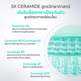 【เช้า C เย็น A】PAPA FEEL 3X Retinol เซรั่ม + 5X Ceramide Barrier เซรั่ม | ทำให้ผิวเต่งตึง | ลดริ้วรอย | ผิวเนียน ชุ่มชื้น | ผิวสงบลง | ซึมไว | บางเบา