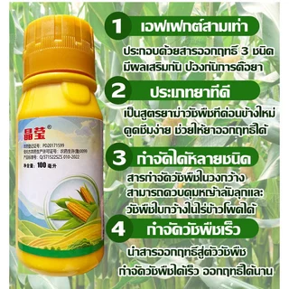 ใช้1ครั้ง นาข้าวโพด50ปีไม่มีวัชพืช ยาฆ่าหญ้าข้าวโพด100ML 1แถม1 สูตรทนฝน เข้มข้นสุดๆ เห็นผลทันที ยาชุด ฆ่าหญ้าฆ่าแค่วัชพืช ไม่ทำลายและอ้อย ยาหญ้าใน ฉีด ไร่ ในไร่ คุมในข้าวโพด