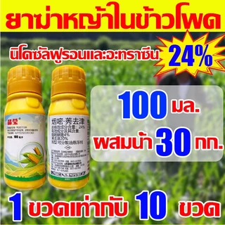 ใช้1ครั้ง นาข้าวโพด50ปีไม่มีวัชพืช ยาฆ่าหญ้าข้าวโพด100ML 1แถม1 สูตรทนฝน เข้มข้นสุดๆ เห็นผลทันที ยาชุด ฆ่าหญ้าฆ่าแค่วัชพืช ไม่ทำลายและอ้อย ยาหญ้าใน ฉีด ไร่ ในไร่ คุมในข้าวโพด
