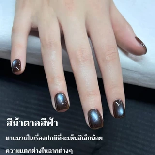 XEIJAYI 15มล--M161 น้ำยาทาเล็บตาแมวสีน้ำตาลน้ำเงิน ติดทนนานและเงางาม เหมาะที่บ้านและร้านทำเล็บ