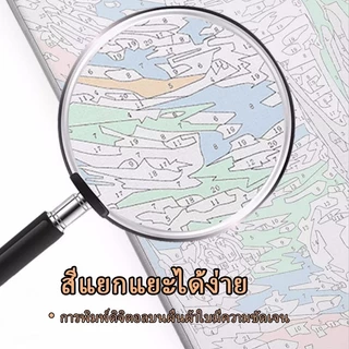 ระบายสีตามตัวเลข 30*40ซม ผ้าใบ+กรอบไม้+แปรง+สีอะคริลิค ของขวัญเด็ก DIY ตกแต่งผนังบ้าน