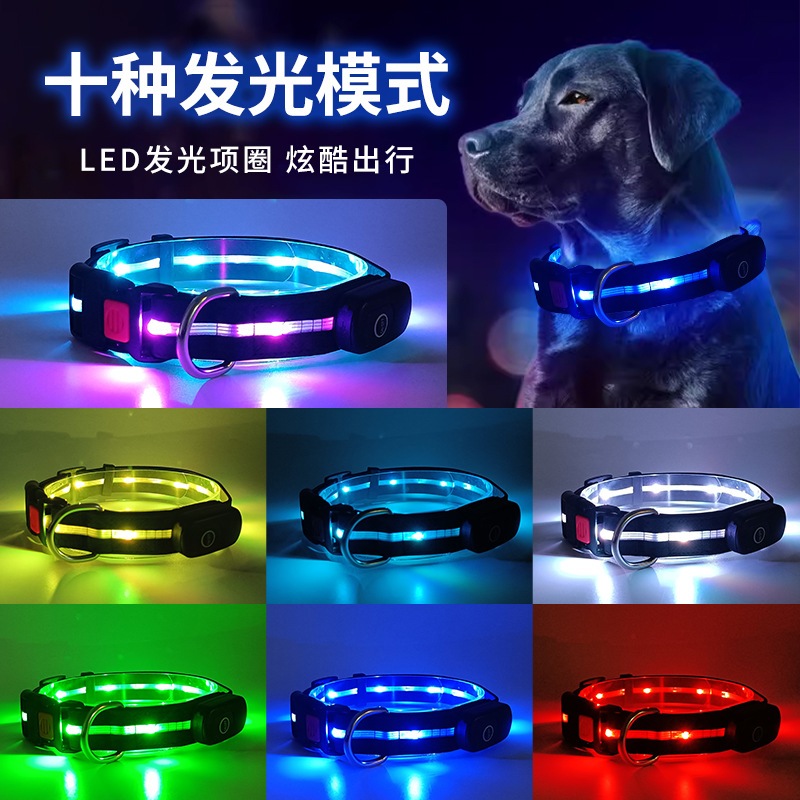 ปลอกคอเรืองแสง LED สําหรับสัตว์เลี้ยง, สายจูงกลางแจ้งสําหรับสุนัข
