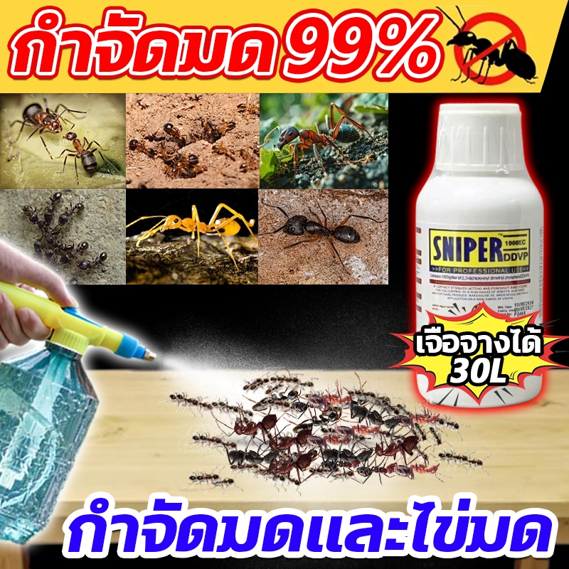 กำจัดปลวกได้หมด ตายยกรัง และให้ผลควบคุม 100%  ยาฉีดมด 30L ยากําจัดมด กำจัดมด สามารถออกฤทธิ์ป้องกันปลวกได้นาน ยาฆ่ามด